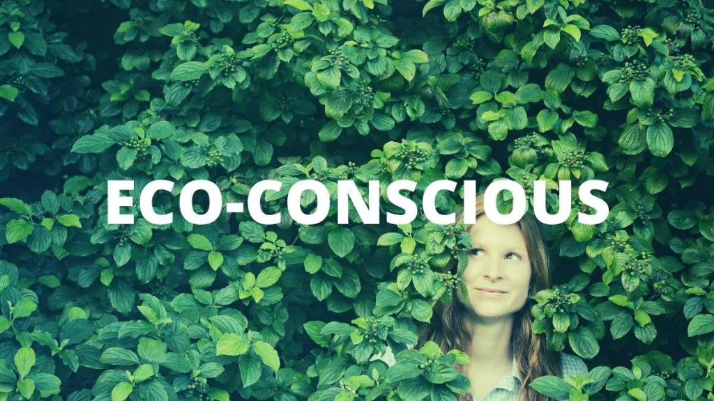 Being Eco-conscious Is Not Boring: Exploring How To Create A